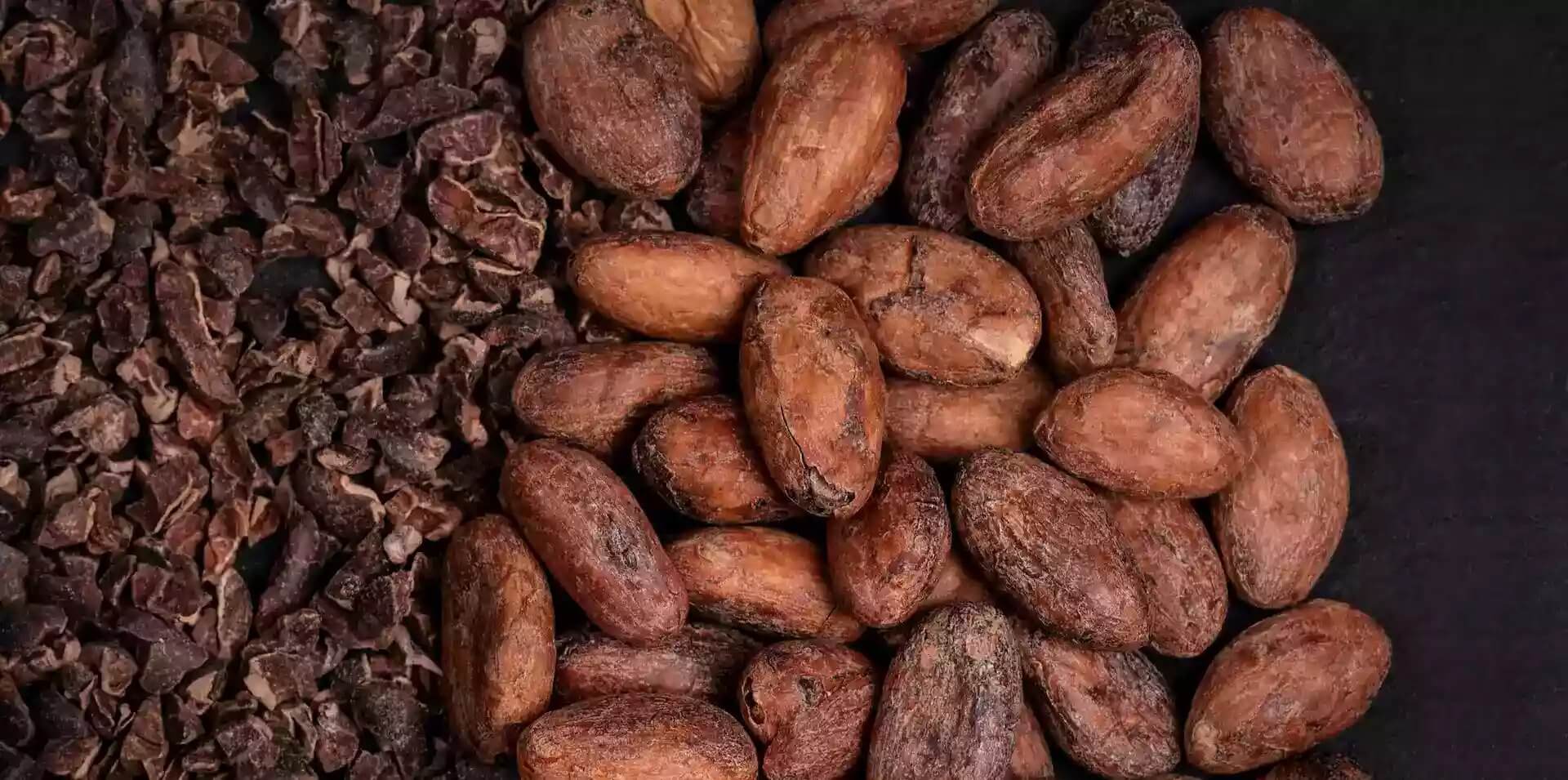cacao-beans-rockin-shape